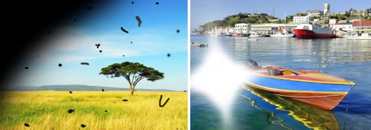 Desprendimiento de Retina